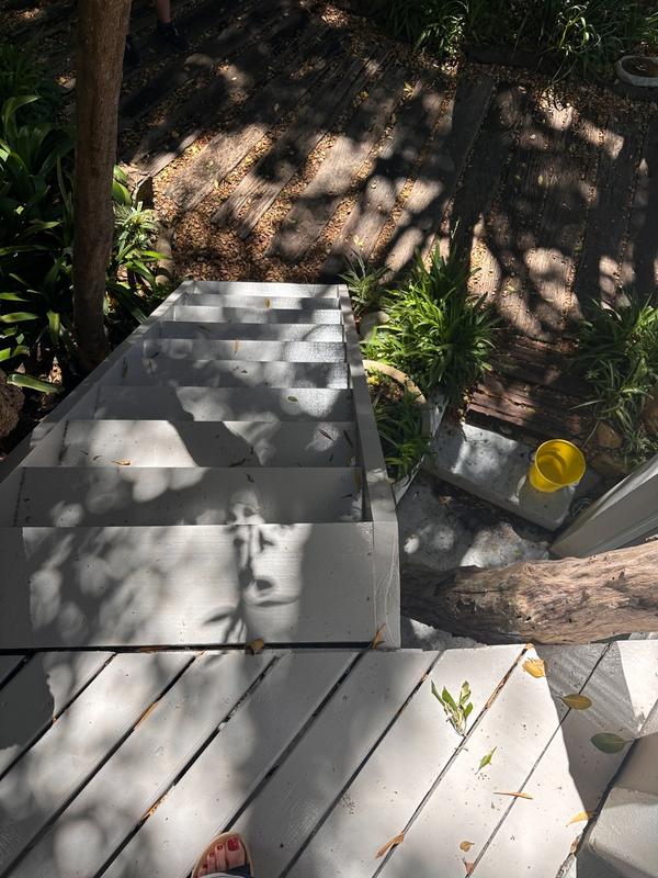 To Let 0 Bedroom Property for Rent in Chapman